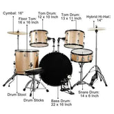 Full size adult 5-piece drum set in champagne from Drum Addict Apparel by Yggdrasils Wood, showing drums and cymbals.
